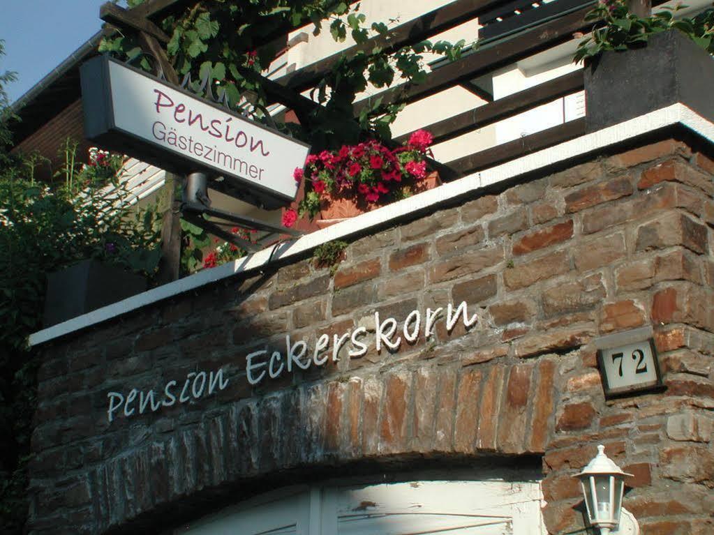 Haus Uebernachtenswert Cochem Mosel エクステリア 写真
